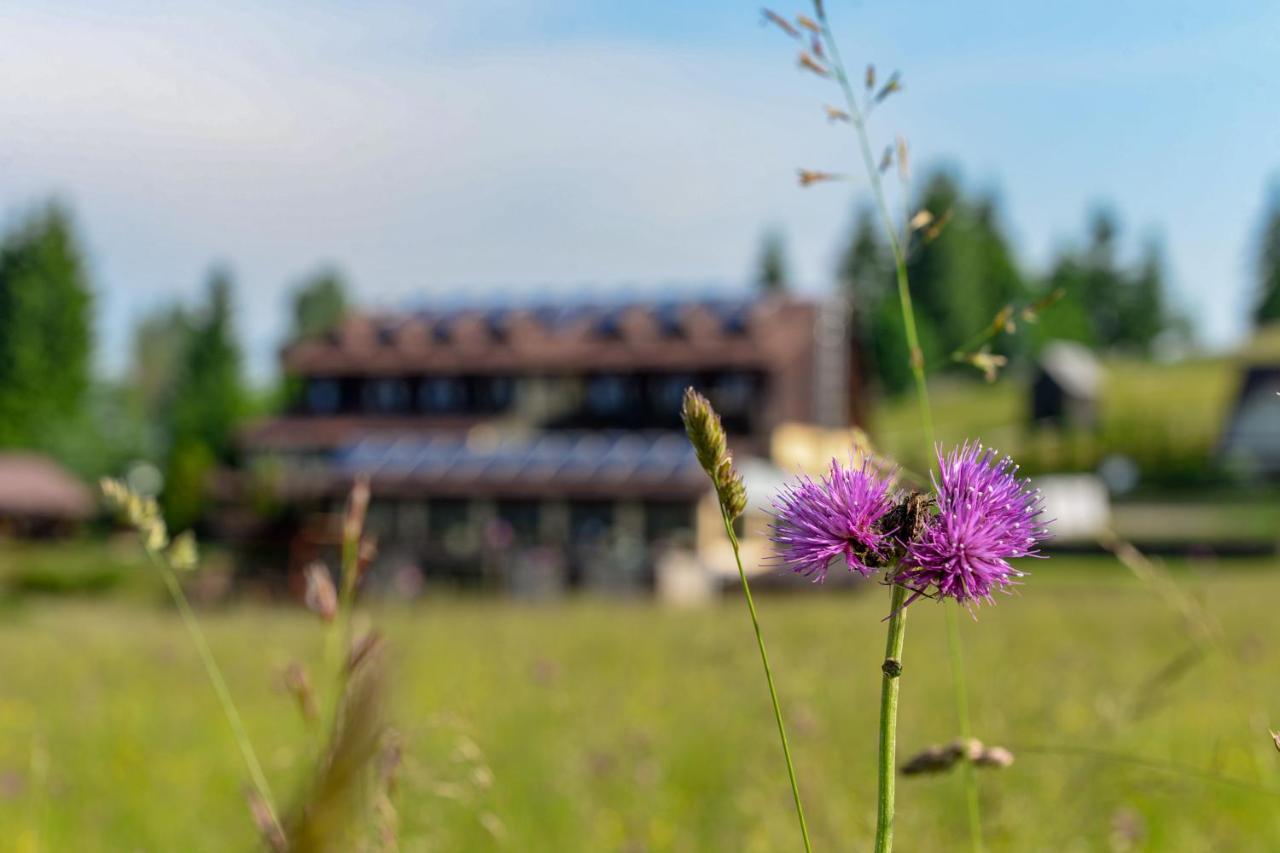 Pensiunea La Bella Vista Poiana Negrii Exterior foto